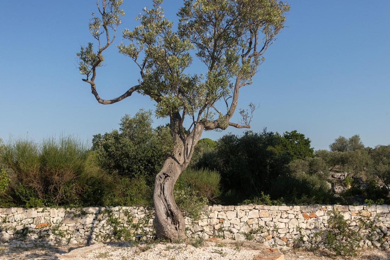 Trullo Carsico By Itriahomes Ceglie Messapica Eksteriør bilde